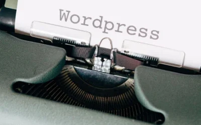¿Cómo hacer una entrada en WordPress?